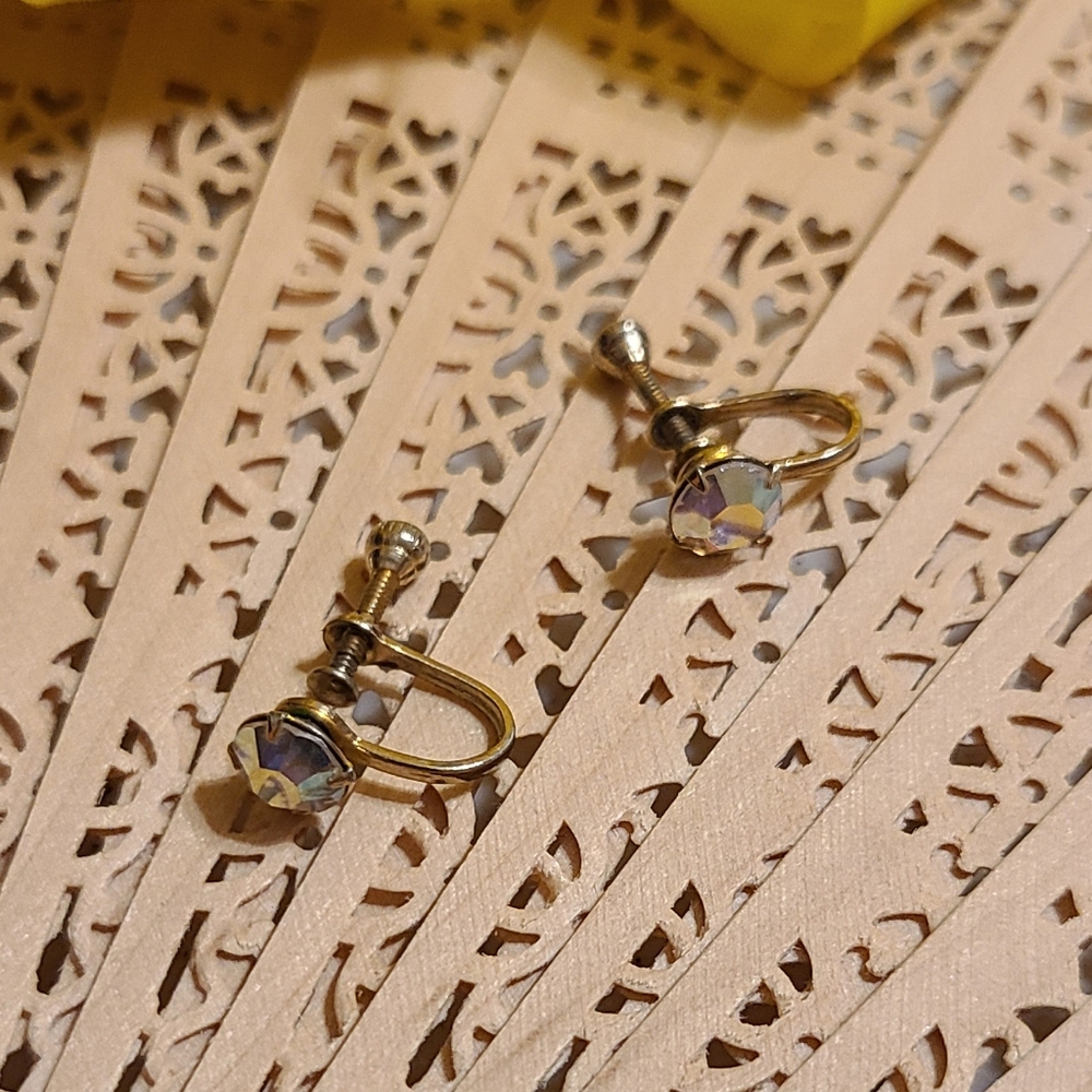 Vintage Screw back Earrings